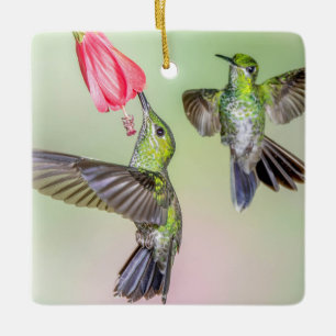 Hummingbird Couple Flying Together Name Keramikornament