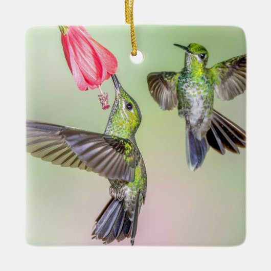 Hummingbird Couple Flying Together Name Keramikornament (Vorderseite)