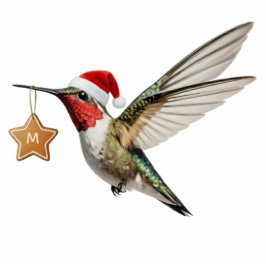 Hummingbird Customized Monogram Christmas Ornament Fotoskulptur Ornament