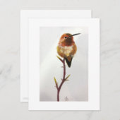 Hummingbird Danke für Ihre Anmerkung/Anmerkung Kar (Vorne/Hinten)