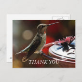 Hummingbird Danke Karte (Vorne/Hinten)