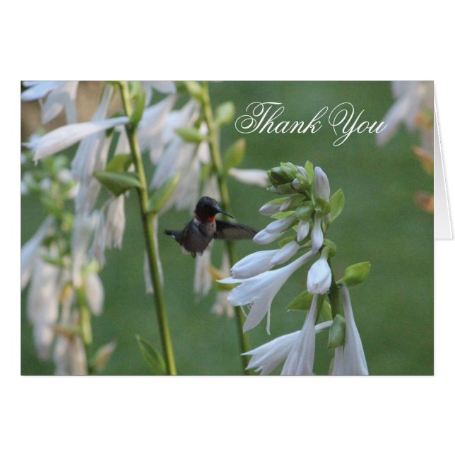 Hummingbird Danke Karte (Vorderseite (Horizontal))