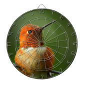 Hummingbird Dartboard Dartscheibe (vorne)