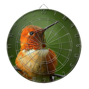 Hummingbird Dartboard Dartscheibe