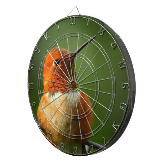 Hummingbird Dartboard Dartscheibe (Vorderseite rechts)