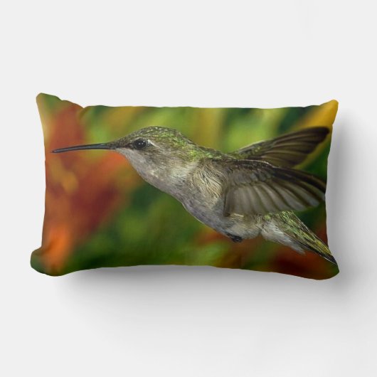Hummingbird Decorative Throw Kissen (Vorderseite)