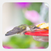 Hummingbird Design #0624 Quadratischer Aufkleber (Vorderseite)