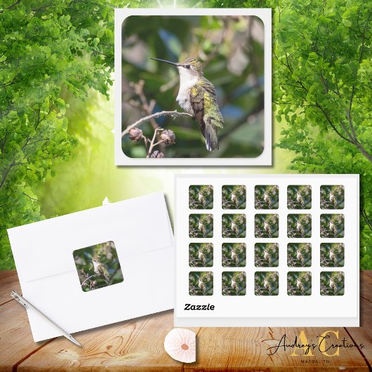 Hummingbird Design #4Q7A5301 Quadratischer Aufkleber