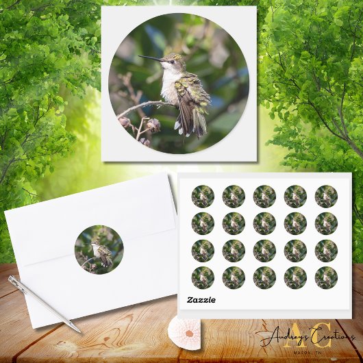 Hummingbird Design #4Q7A5304 Runder Aufkleber