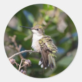 Hummingbird Design #4Q7A5304 Runder Aufkleber (Vorderseite)