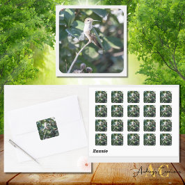 Hummingbird Design #4Q7A9974 Quadratischer Aufkleber