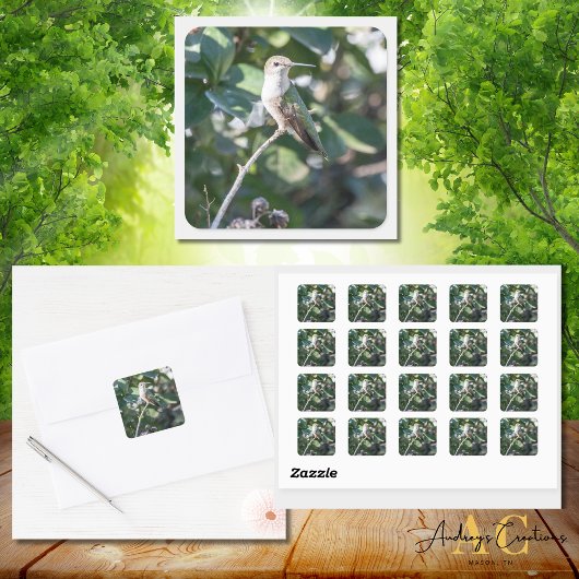Hummingbird Design #4Q7A9974 Quadratischer Aufkleber