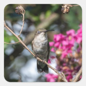 Hummingbird Design #8354 Quadratischer Aufkleber (Vorderseite)