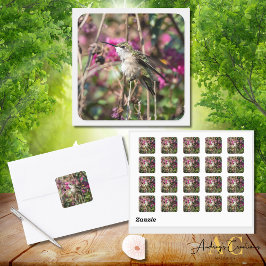 Hummingbird Design #8401 Quadratischer Aufkleber