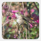 Hummingbird Design #8401 Quadratischer Aufkleber (Vorderseite)