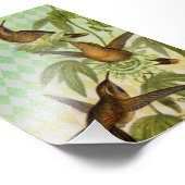 Hummingbird Digital Art Fotodruck (Ecke)
