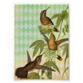 Hummingbird Digital Art Fotodruck (Vorne)