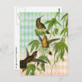 Hummingbird Digital Art Postkarte (Vorne/Hinten)