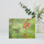 Hummingbird Dream Garden Postkarte (Stehend Vorderseite)