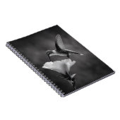 Hummingbird Drink Blume Notebook Notizblock (Rechte Seite)