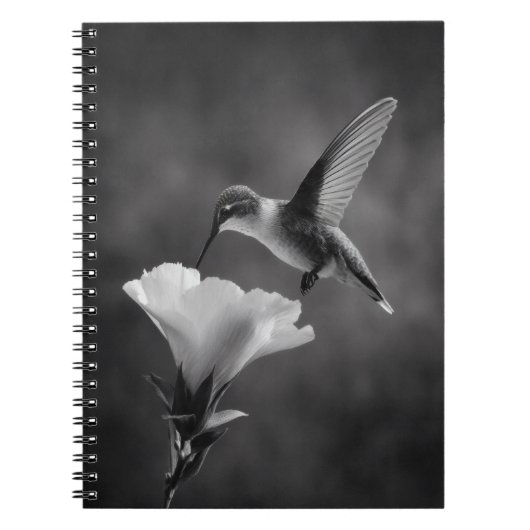 Hummingbird Drink Blume Notebook Notizblock (Vorderseite)