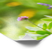 Hummingbird-Erholung Fotodruck (Ecke)