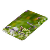 Hummingbird-Erholung Magnet (Linke Seite)