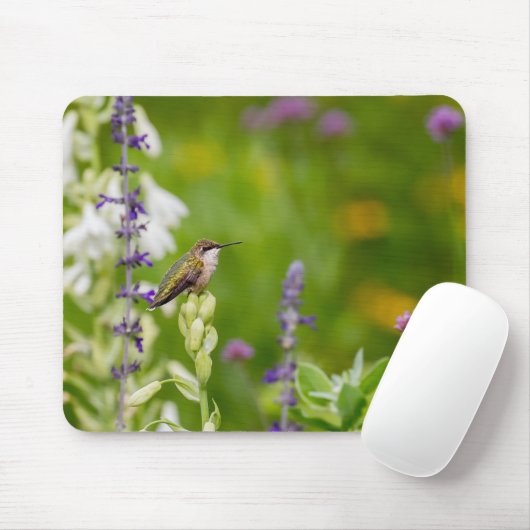 Hummingbird-Erholung Mousepad (Mit Mouse)