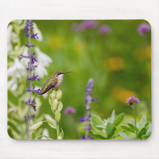 Hummingbird-Erholung Mousepad (Vorne)