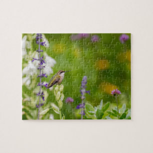 Hummingbird-Erholung Puzzle
