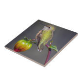 Hummingbird-Erholungen auf Blume Fliese (Seite)