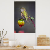 Hummingbird-Erholungen auf Blume Poster (Küche)