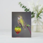 Hummingbird-Erholungen auf Blume Postkarte (Stehend Vorderseite)