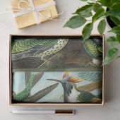 Hummingbird Ernst Haeckel Dekoupage Tissue Paper Seidenpapier (Geschenk)