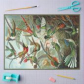 Hummingbird Ernst Haeckel Dekoupage Tissue Paper Seidenpapier (Basteln)