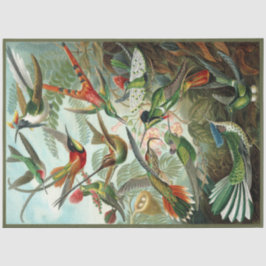 Hummingbird Ernst Haeckel Dekoupage Tissue Paper Seidenpapier