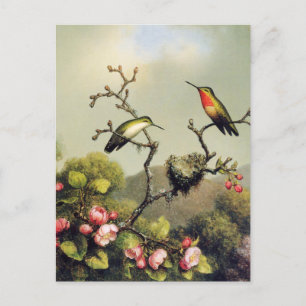 Hummingbird Familie und Apple Blossom Postcard Postkarte