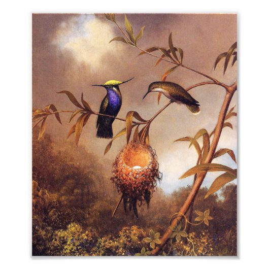 Hummingbird Family Print Fotodruck (Vorne)