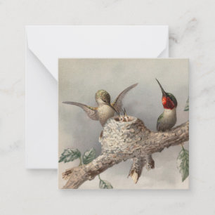 Hummingbird Family Vintag Notecard Mitteilungskarte