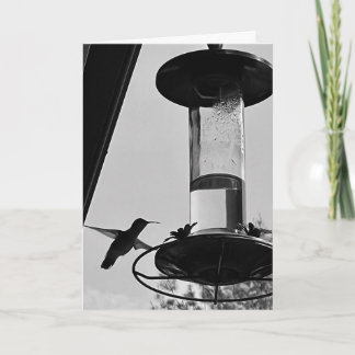 Hummingbird feeder karte