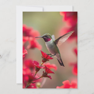 Hummingbird - flache Grußkarte Karte