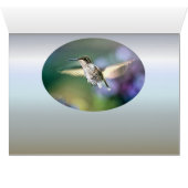 Hummingbird Flying (Innenansicht Horizontal (Unten))