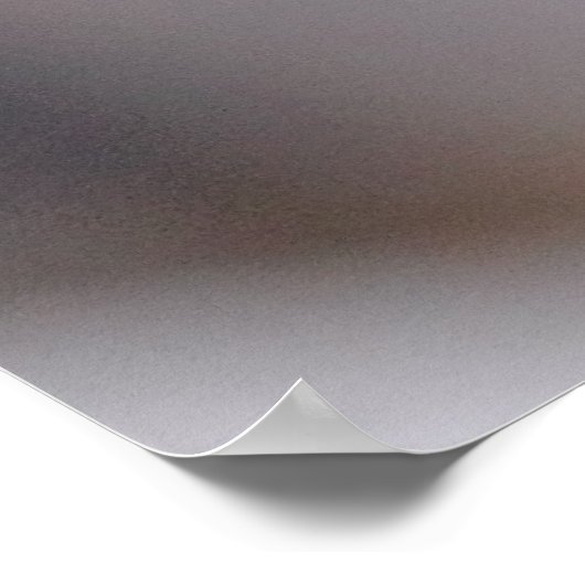 Hummingbird Flying Foto Poster (Ecke)