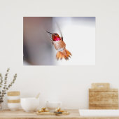 Hummingbird Flying Foto Poster (Küche)