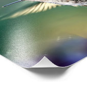 Hummingbird Flying Fotodruck (Ecke)