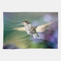 Hummingbird Flying