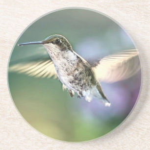 Hummingbird Flying Getränkeuntersetzer