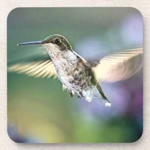Hummingbird Flying Getränkeuntersetzer