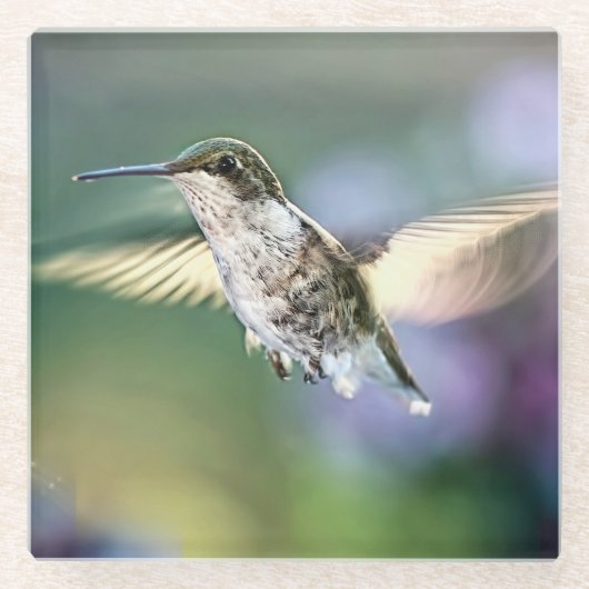 Hummingbird Flying Glasuntersetzer (Vorderseite)