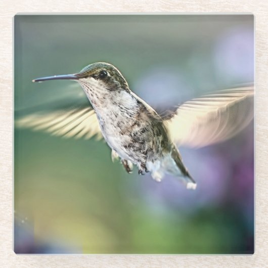 Hummingbird Flying Glasuntersetzer (Vorderseite)